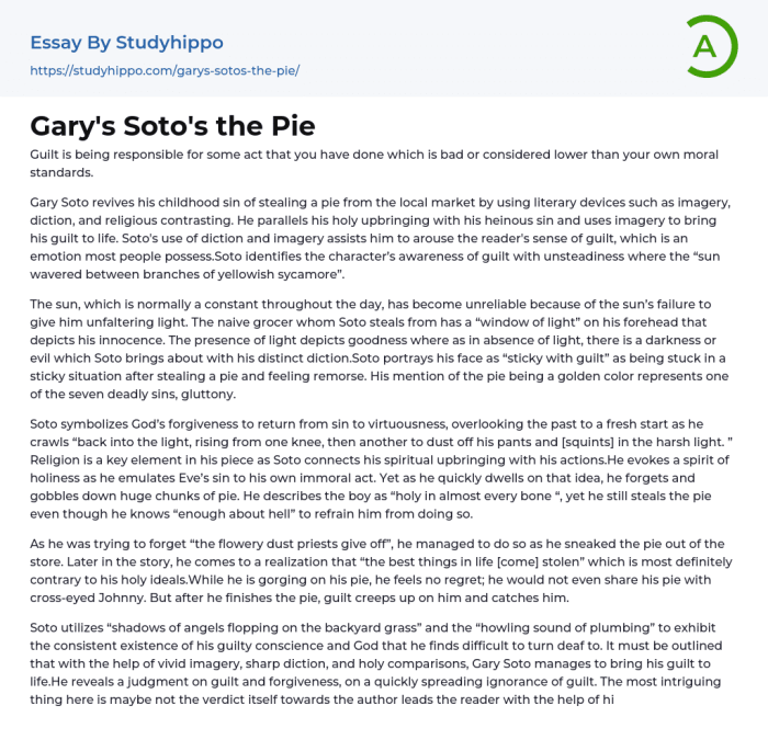 The pie by gary soto questions and answers