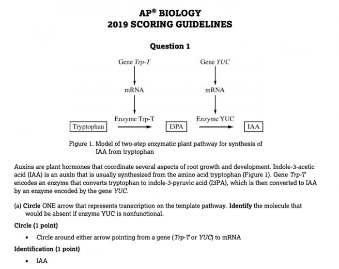 Ap biology unit 1 progress check frq