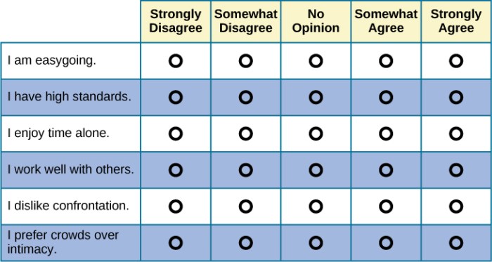 Theory framework traits factor personalities big5 describe use factors trait sel personalidad openness conscientiousness experience assertiveness casel growth core organized