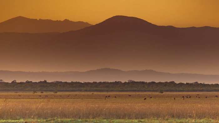 Gorongosa park national pbs