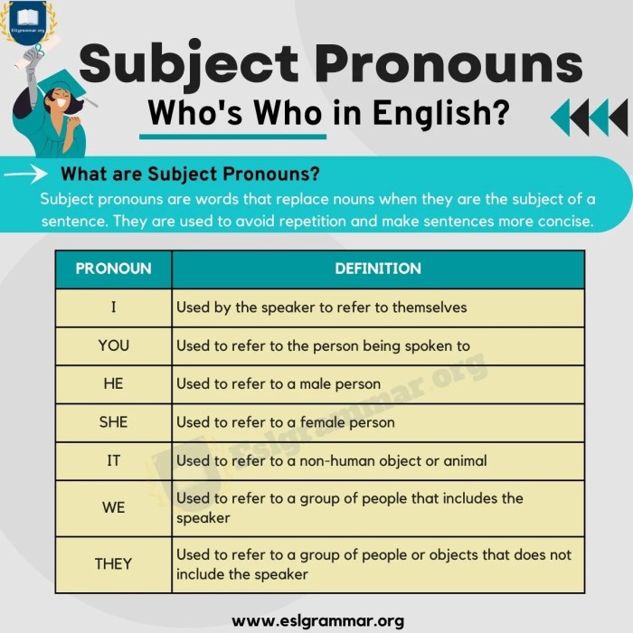 Match the nouns to the subject pronouns