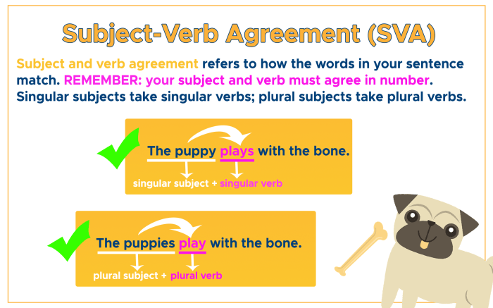 Match the nouns to the subject pronouns