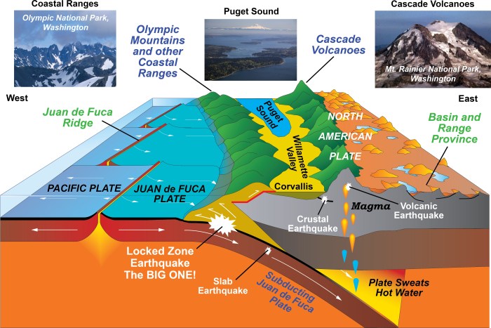 Going deep with plate tectonics answer key