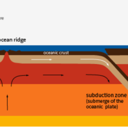 Tectonics volcanoes tectonic theory gizmo studylib exploration boundary chessmuseum reinforce earthquakes