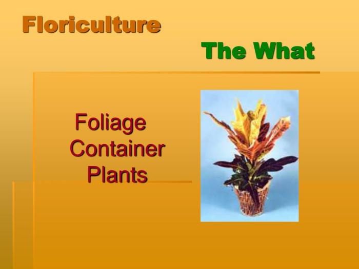 Floriculture ffa cde identification plant materials ppt powerpoint presentation slideserve