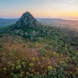 Exploring biomes in gorongosa national park