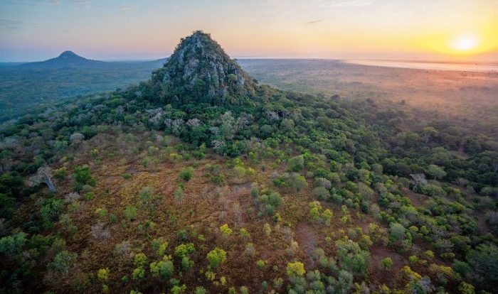 Exploring biomes in gorongosa national park