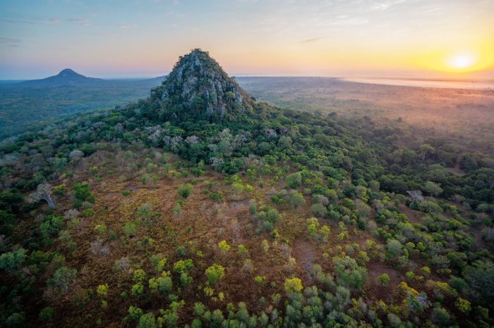 Exploring biomes in gorongosa national park