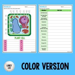 Practice organelle identification answer key