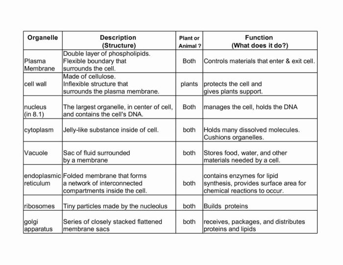 Practice organelle identification answer key